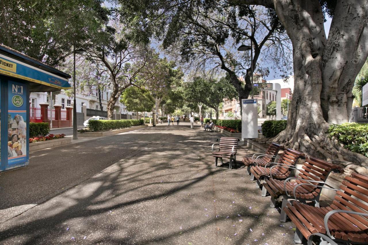 San Diego Σάντα Κρουζ Τενερίφης Εξωτερικό φωτογραφία